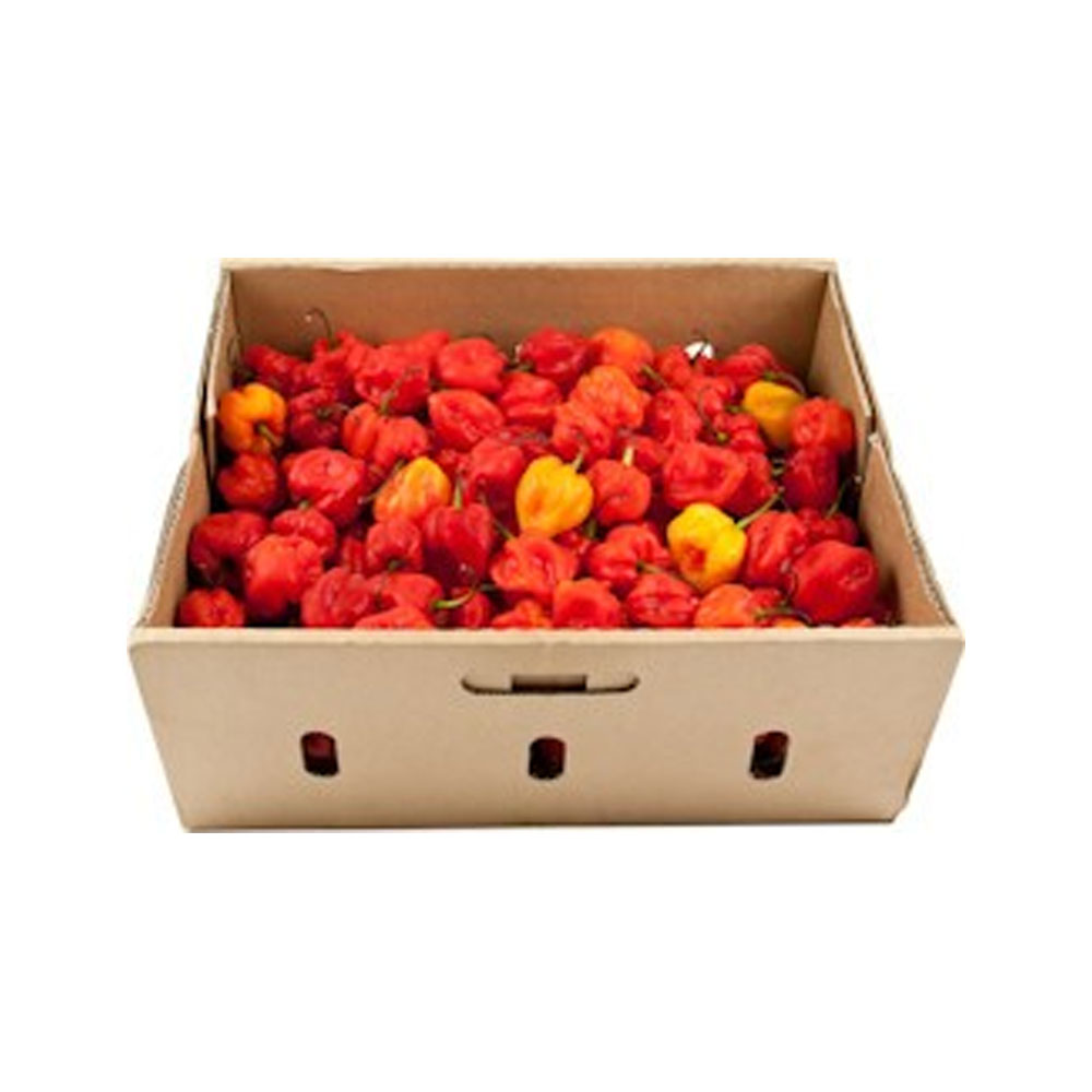 Pepper-Hot-Pili-Pili-Frozen-Box-4kg Pepper Hot Pili-Pili Frozen Box 4kg