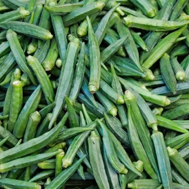 Okra Fresh Clemson 0.1-1 KG