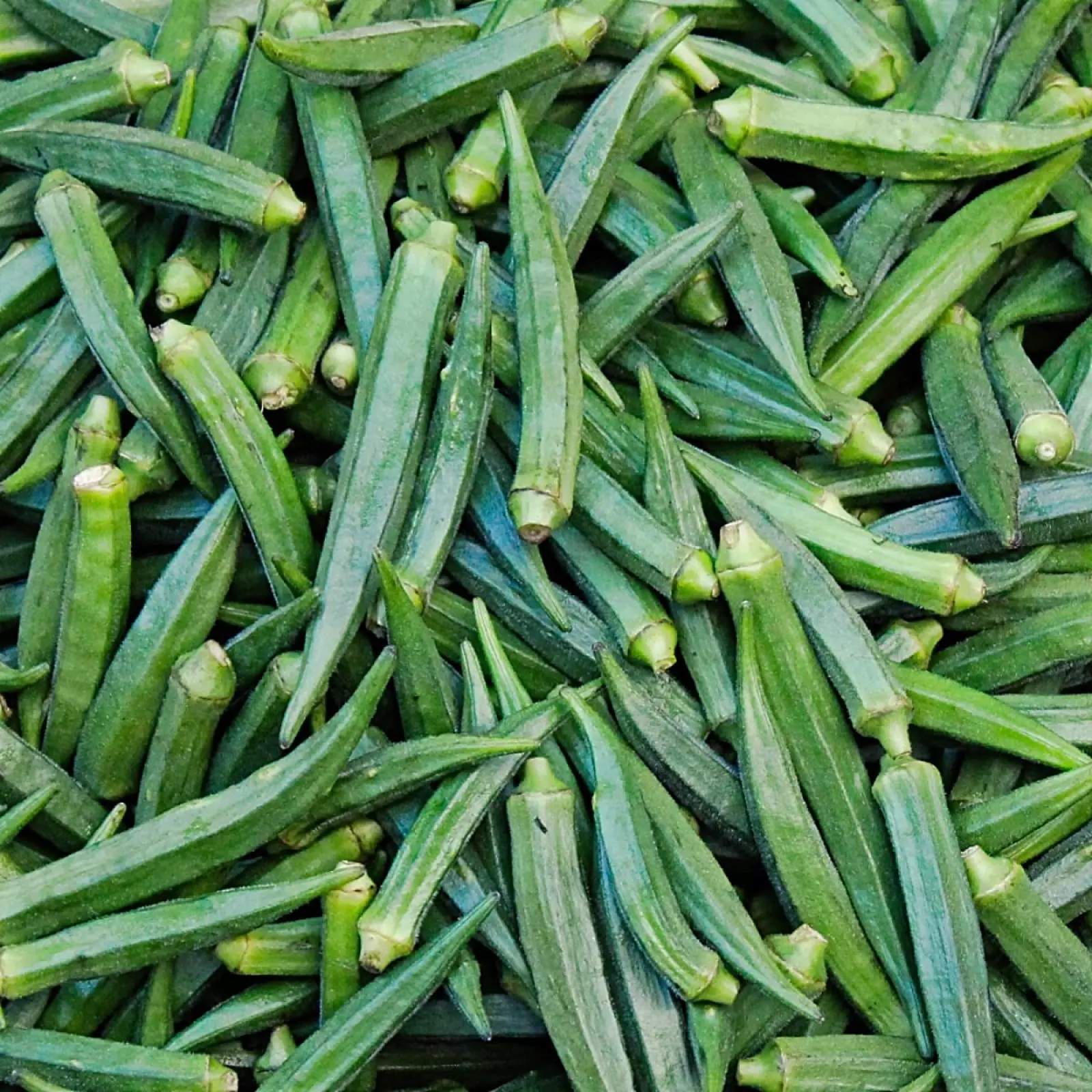 94356-8524-1600×0-sc1x0_pizmian-jadalny-okra-fot-mirko-sajkov-unsplash
