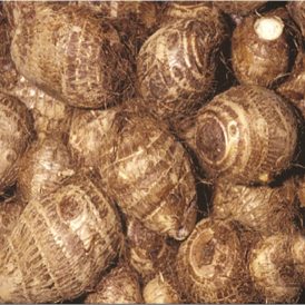 Coco Yam Red Fresh 1 KG