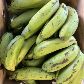 Fresh Matoke- Uganda origin